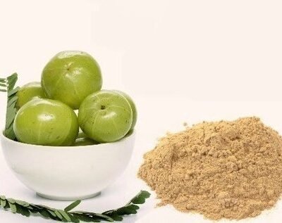 AMLA POWDER